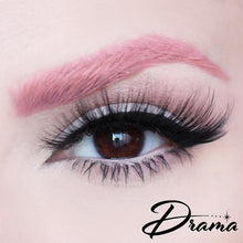 Load image into Gallery viewer, D Poodle Collection- Lashes in Compact