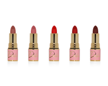 Load image into Gallery viewer, &#39;Vintage with a Twist&#39; Lipstick &amp; D Precision Brush Set
