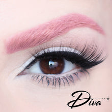 Load image into Gallery viewer, D Poodle Collection- Lashes in Compact
