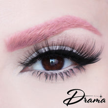 Load image into Gallery viewer, D Poodle Collection- Lashes in Compact
